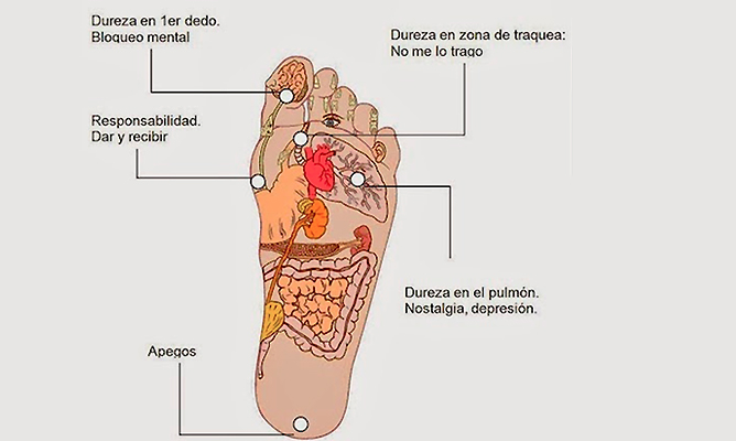 Mapa Reflejo en los pies