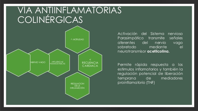 respuesta-sistmica-a-la-lesin-y-apoyo-metablico-11-638