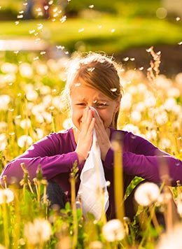 Enfermedades Alérgicas: Tus Microbios Serán los Responsables