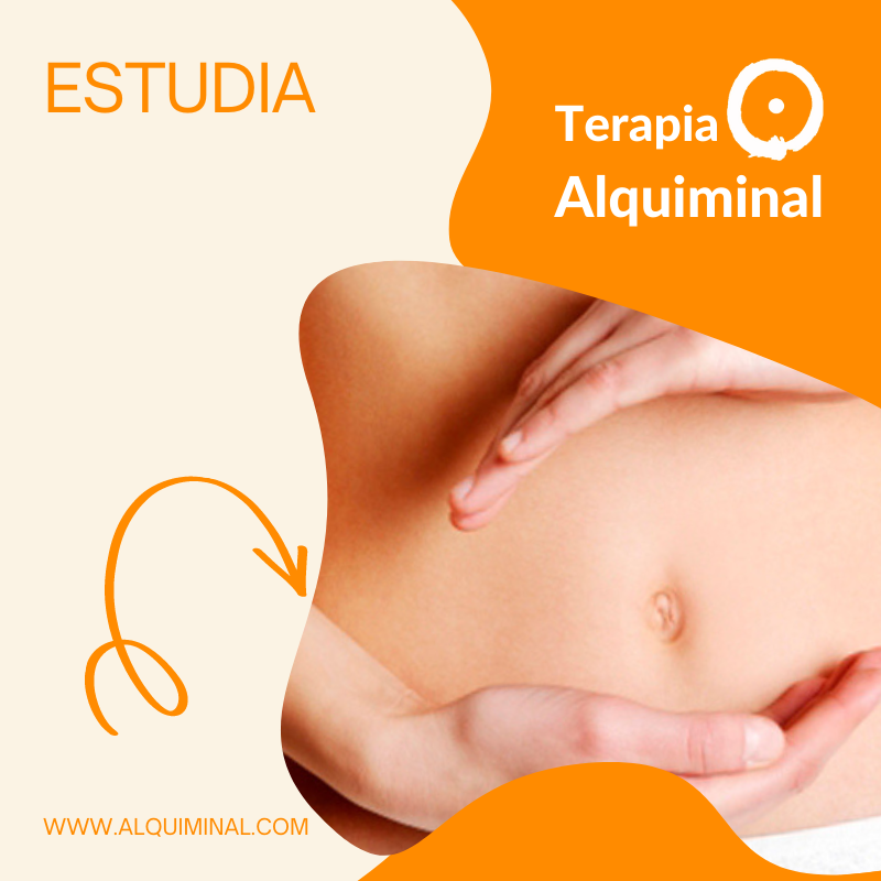 Curso Introducción Terapia Alquiminal®